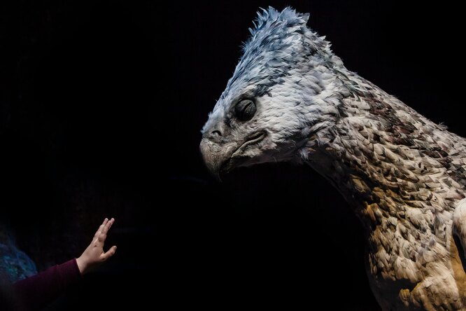 Реальные мифические существа: у каких героев легенд могли быть прототипы