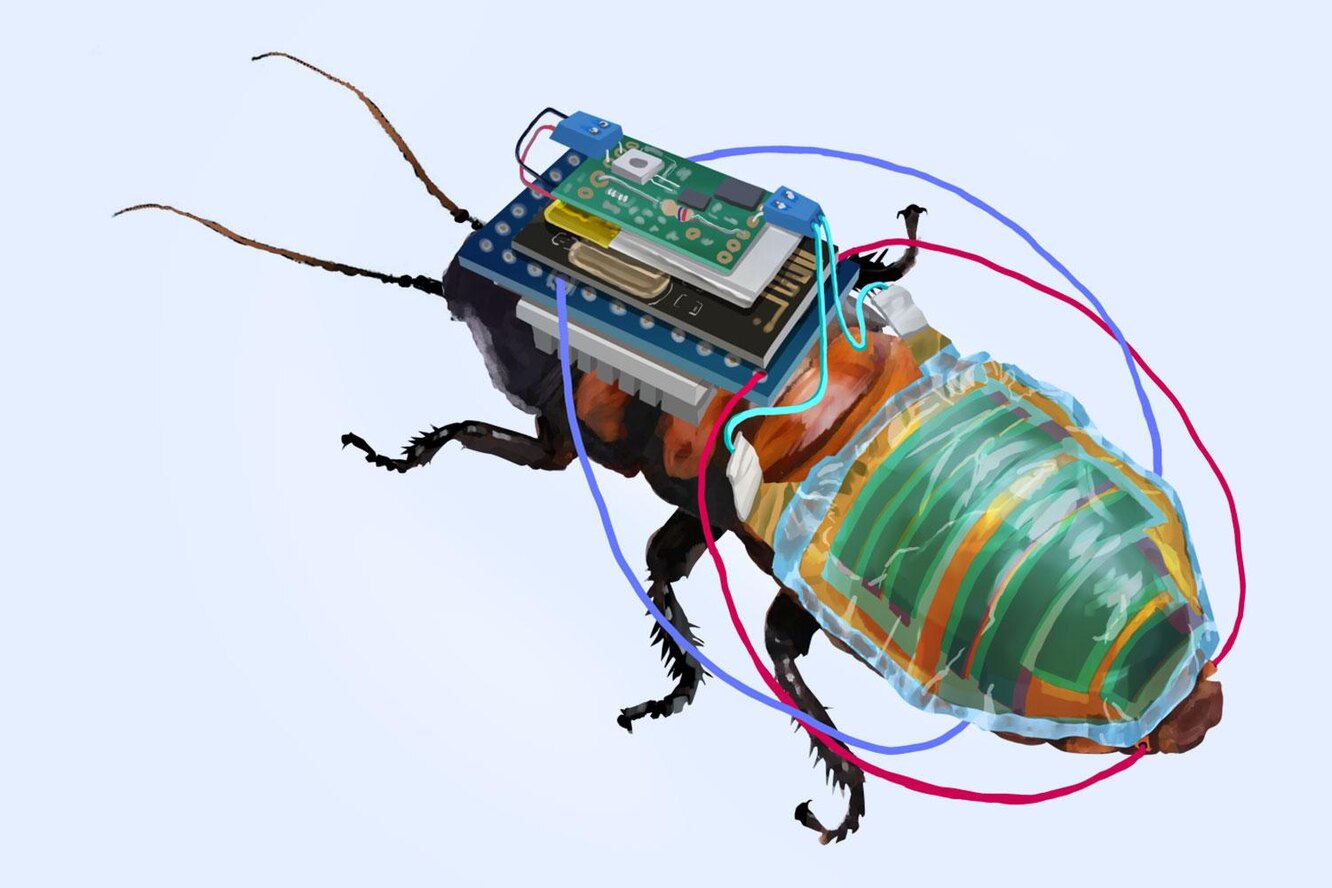 Тараканы-киборги и полет на солнечной энергии в стратосферу: главные новости сегодня