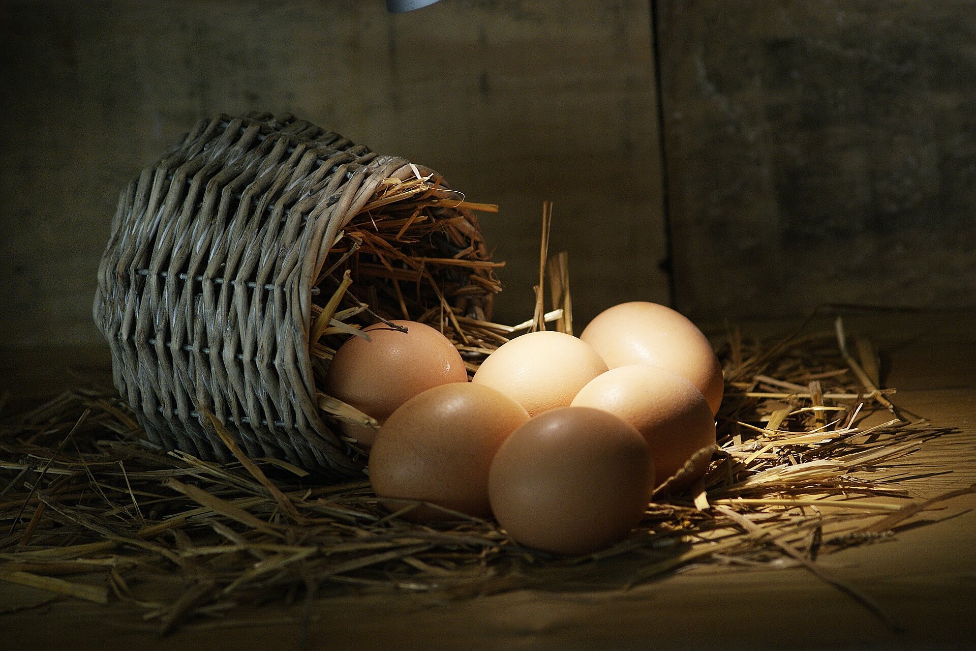 Как поедание яиц в детстве помогает предотвратить развитие аллергии в дальнейшем