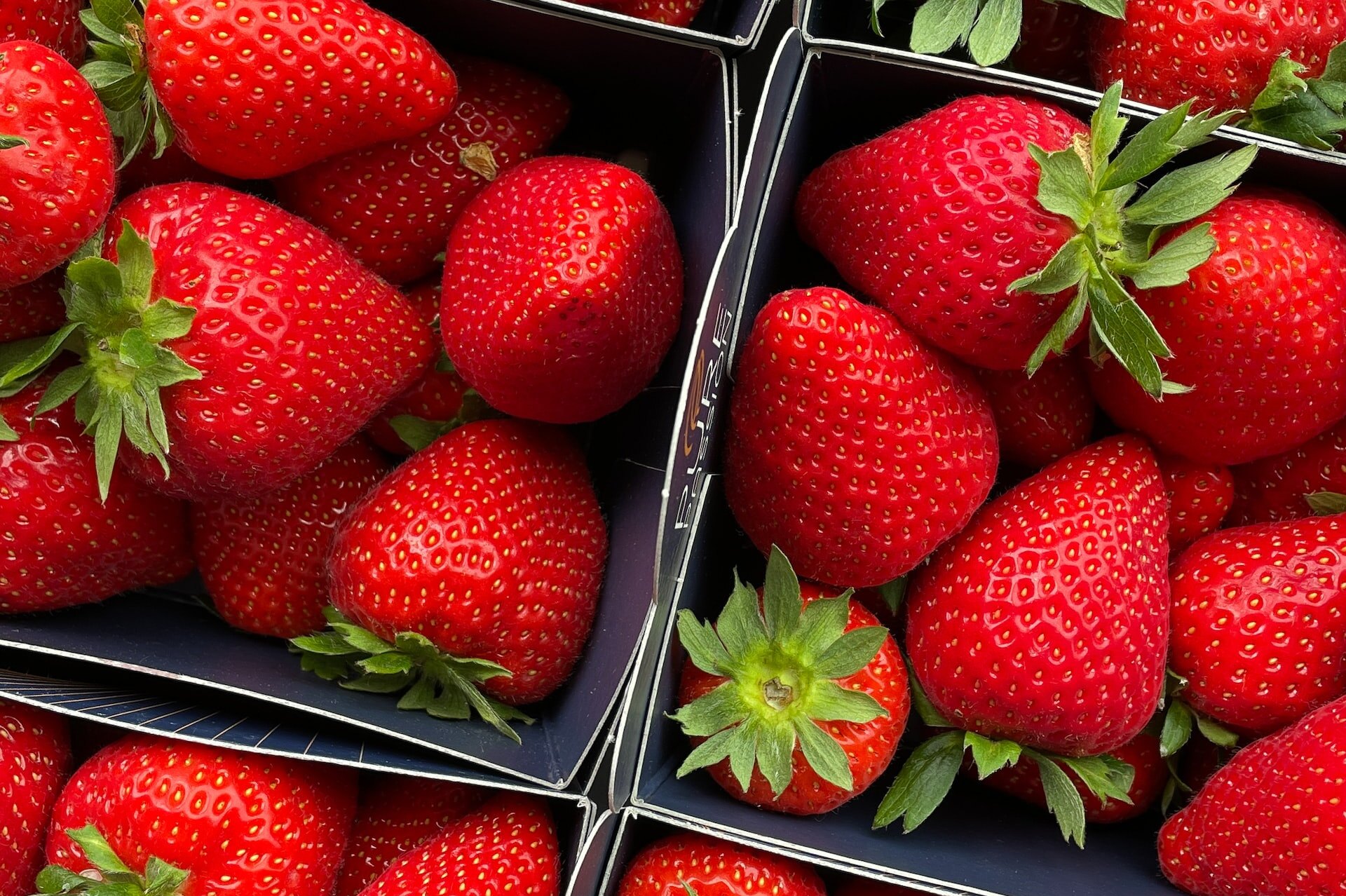 Ученые узнали, почему клубника в магазинах невкусная