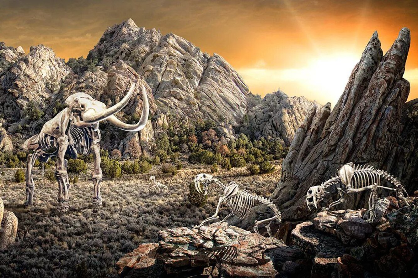 великое пермское вымирание. глобальные вымирания в истории земли. когда выйдет мир юрского периода 4 вымирание. динозавры триасового периода. глобальльное потепление.