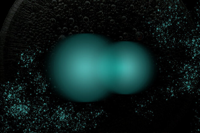 Физики нашли новую гибридную частицу в двумерном материале