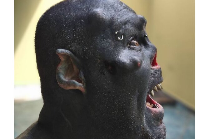 Тату-мастер годами изменял свое тело, чтобы превратиться в «орка»: посмотрите, чем закончился эксперимент