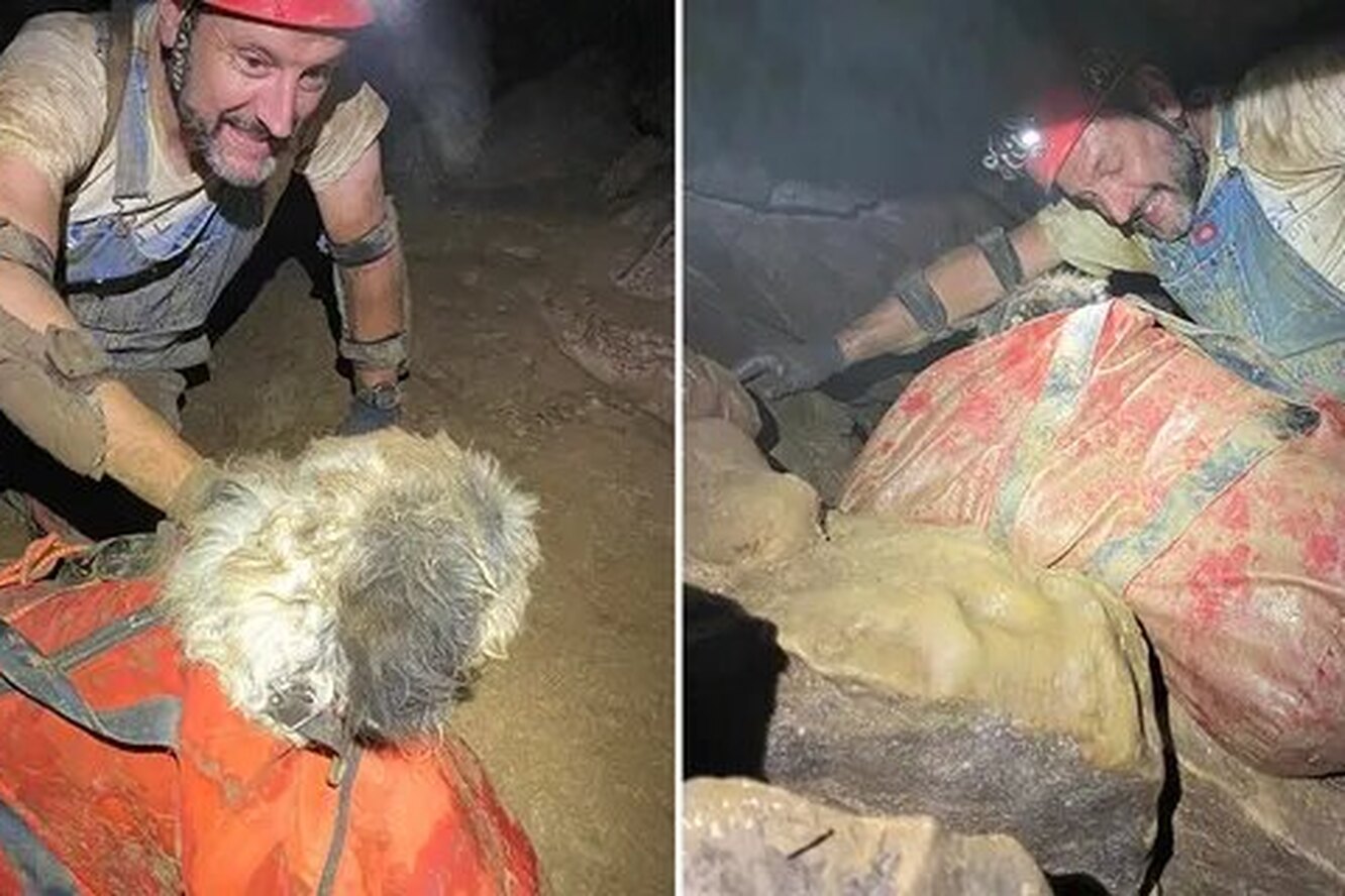 В глубокой пещере была найдена собака, которая пропала несколько месяцев назад
