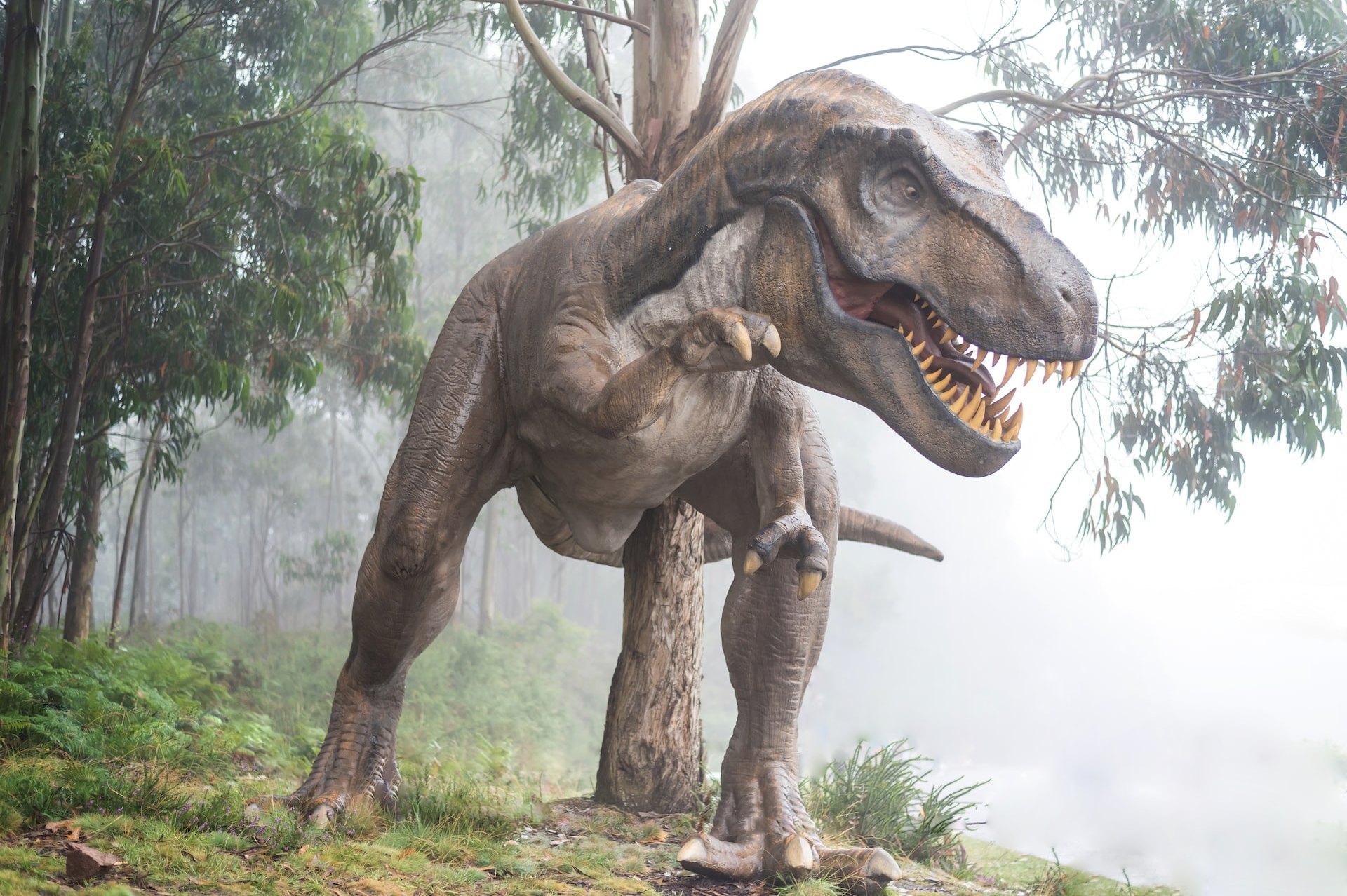 Как бы выглядели динозавры сегодня, если бы они однажды не вымерли