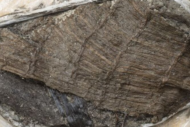 Ботинок, выброшенный в швейцарское озеро 5000 лет назад: редкий артефакт