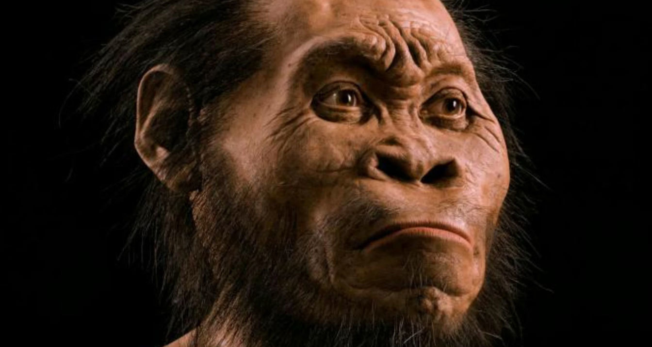 Когда вымерли последние представители Homo erectus человека прямоходящего