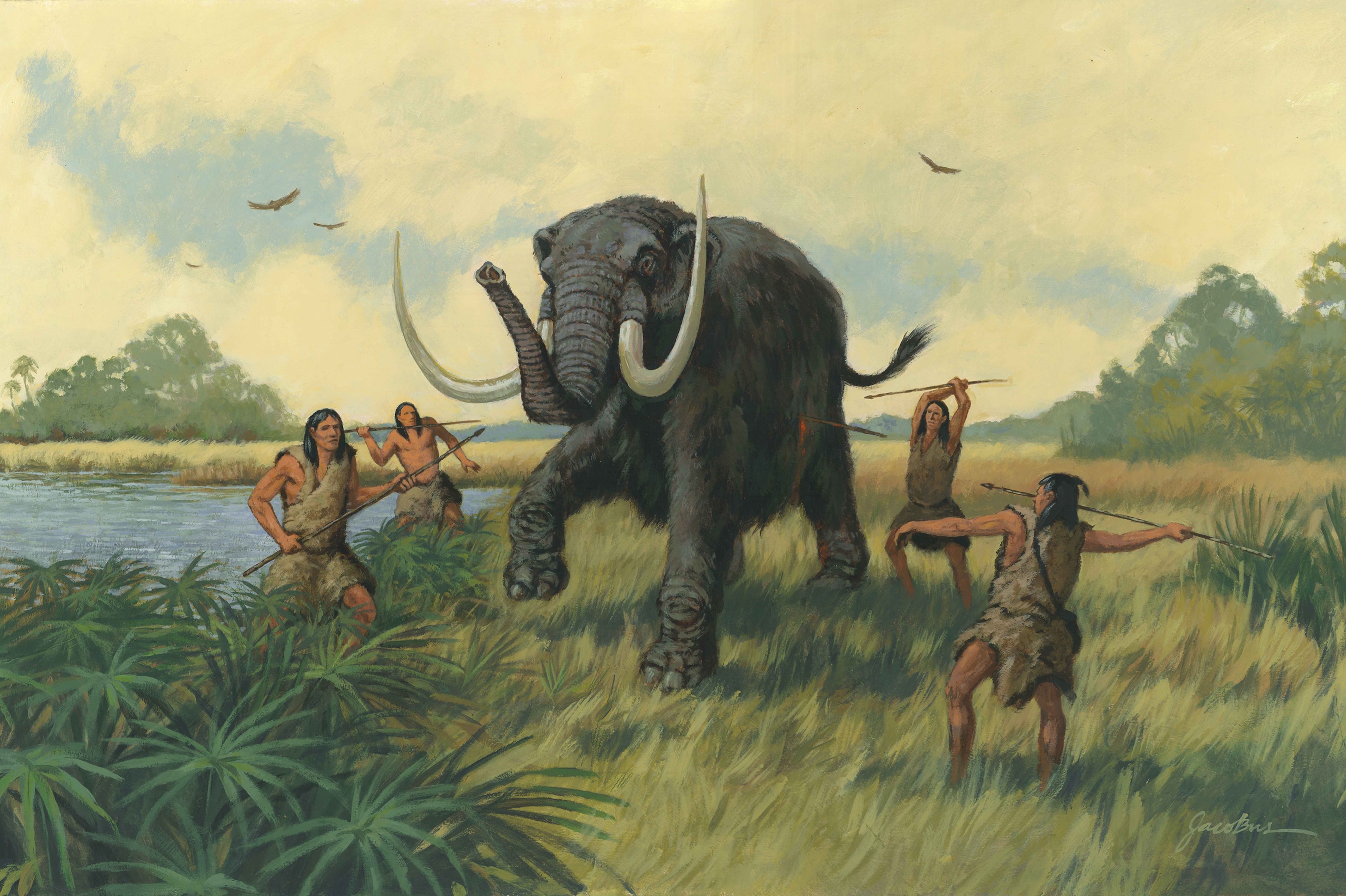 Мозг слона или носорог с хурмой: странные пищевые привычки древних людей