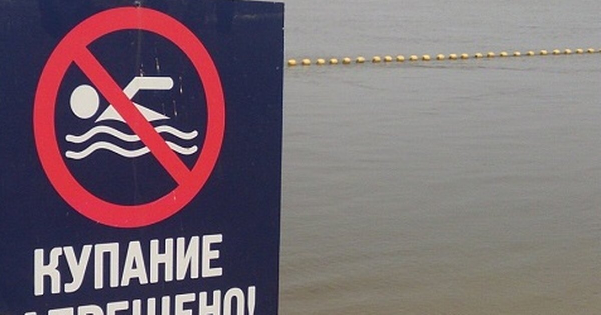 Почему нельзя купаться в озерах. Запреты в какой воде нельзя купаться. Запреты в какой воде нельзя купаться окружающий мир.