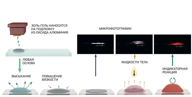 https://www.techinsider.ru/upload/img_cache/349/349b5ff07616422b693a8fe847af8ae3_cropped_666x338.webp