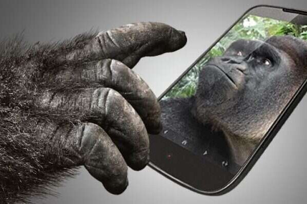Панда против гориллы: какое стекло для экрана смартфона лучше