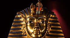 Как спастись от древней магии: среди жертв проклятия Тутанхамона был счастливчик, которому удалось избежать злого рока