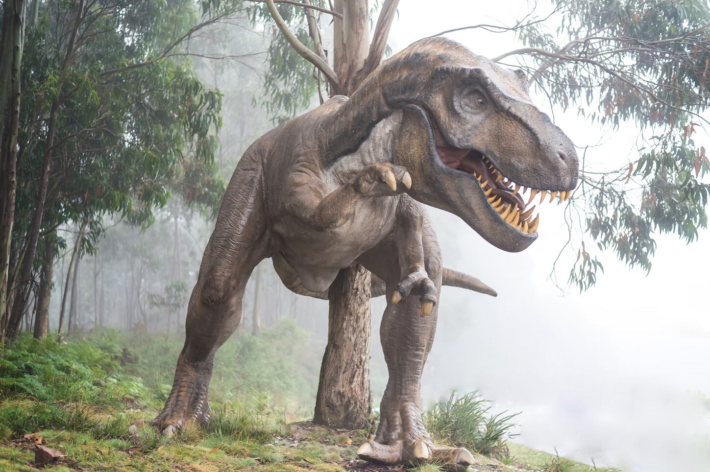 Когда упал астероид, динозавры были хозяевами Земли и совсем не собирались вымирать