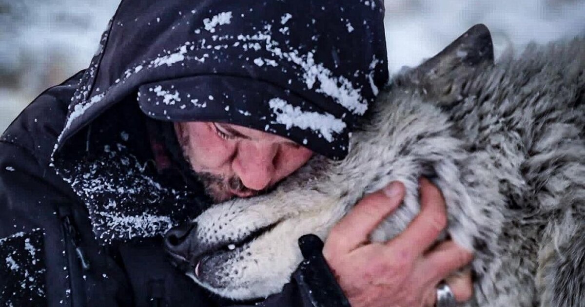 легенда волк спасающий народ