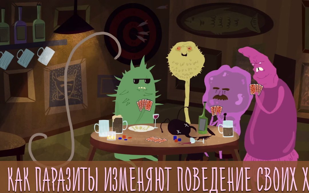 Познавательное видео: как паразиты управляют поведением своих хозяев