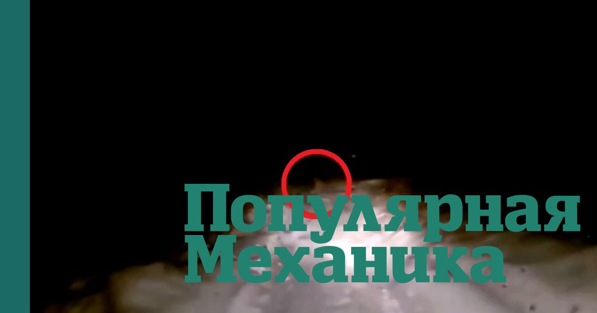 Что это было: история о том, как пугающее существо из башкирского леса попало на видео