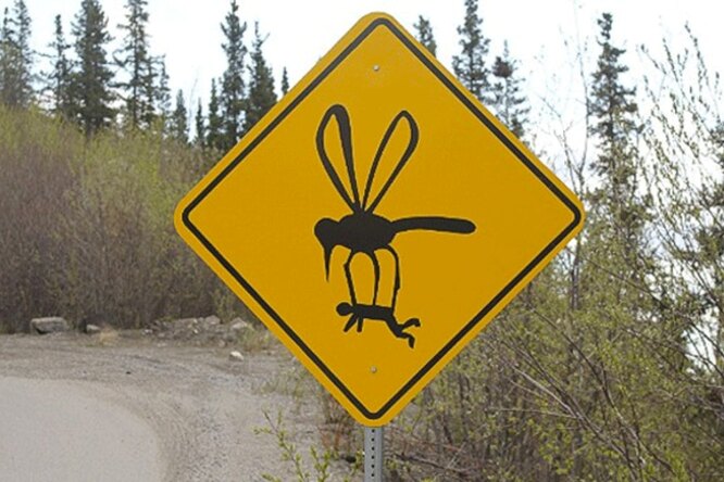 Даже знатоки ПДД не могут сказать реальный это знак или фейк: попробуйте отгадать