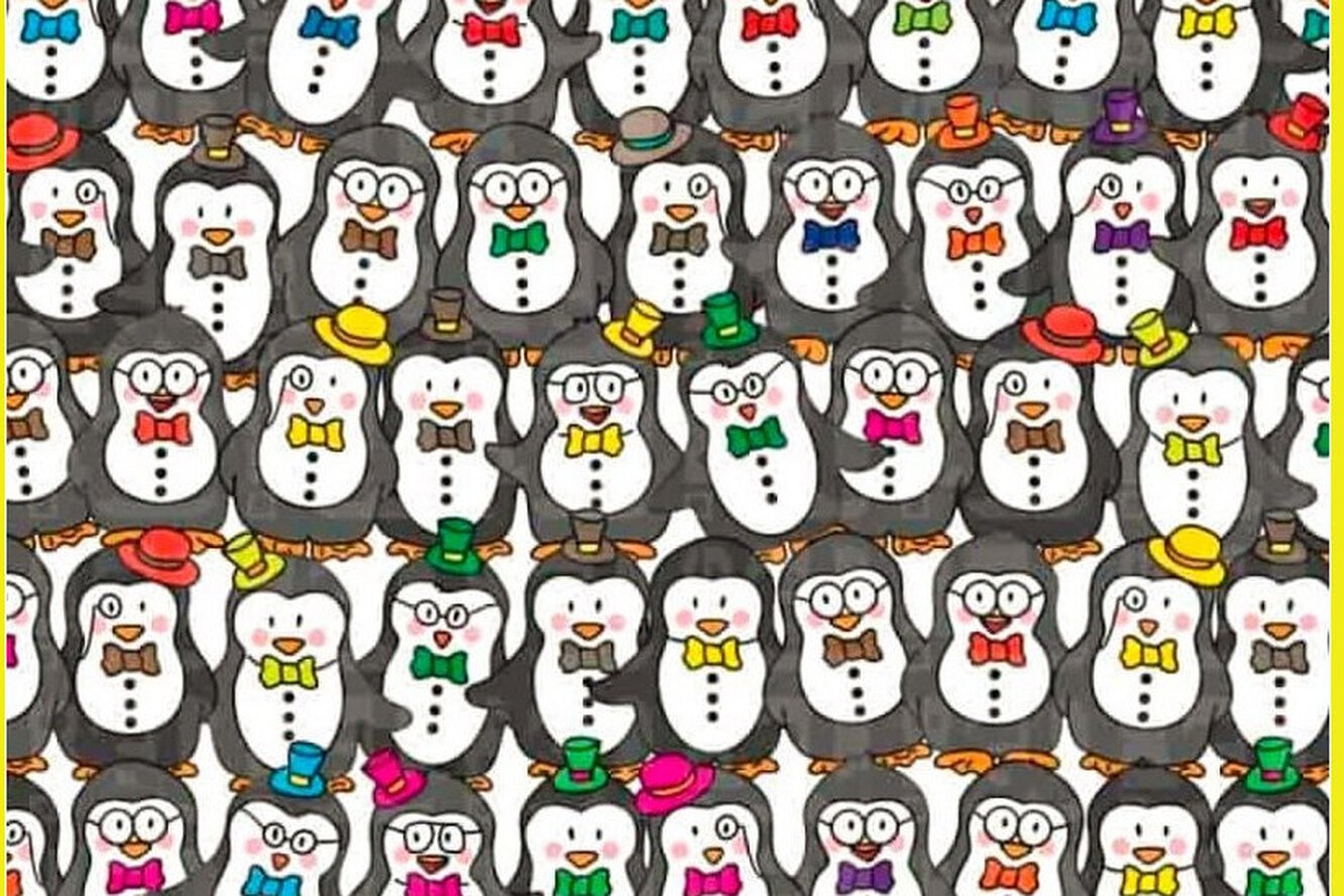 Веселая разминка для глаз: найдите человека среди пингвинов. Лучший результат – 20 секунд или меньше