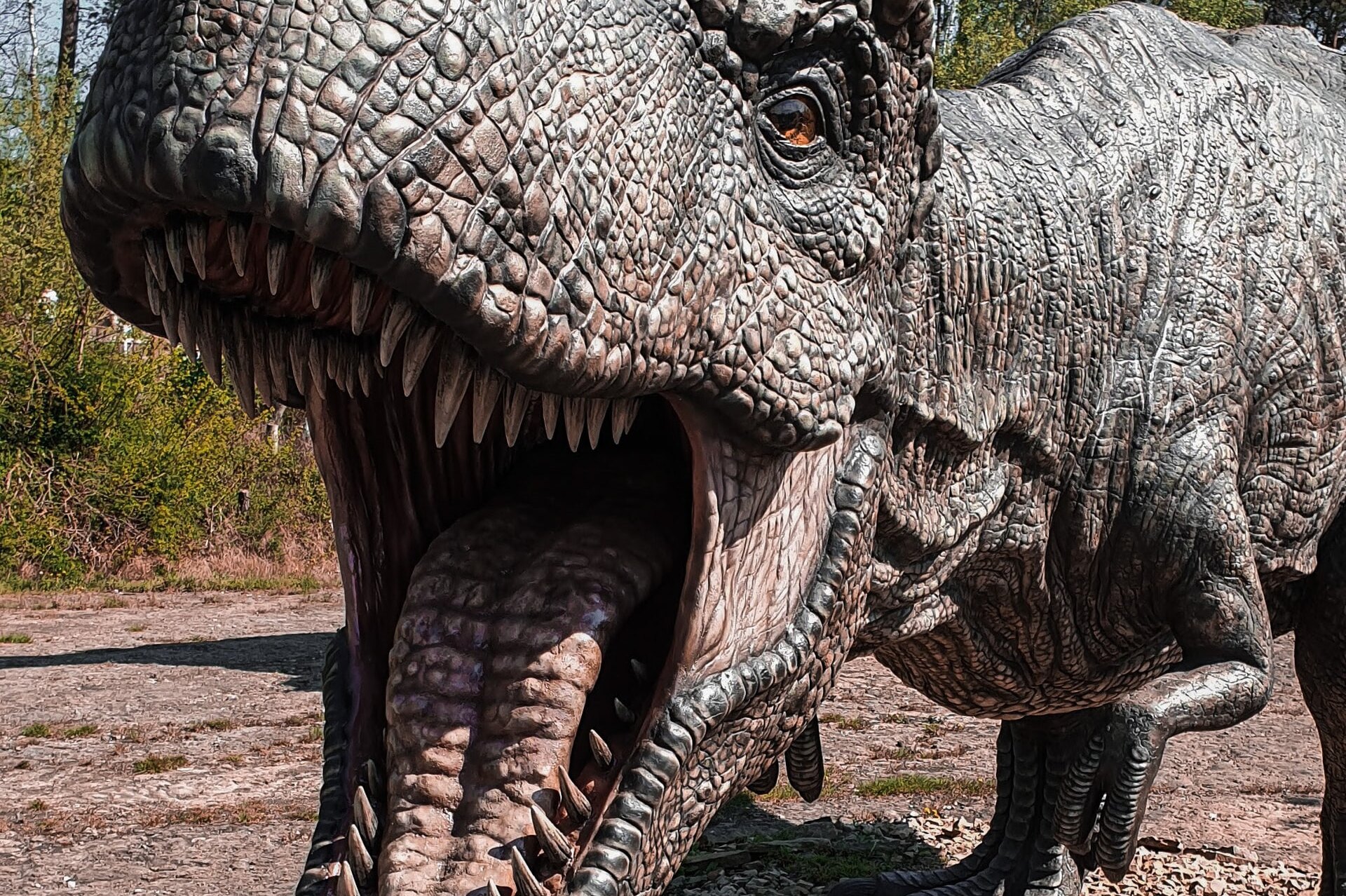 Динозавры с короткими передними лапами жили задолго до тираннозавров: ученые открыли новый вид доисторических хищников
