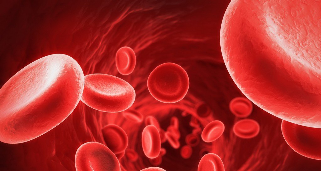 Почему группы крови конфликтуют друг с другом А кто такие гематофаги 8 фактов о крови