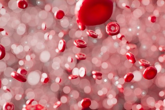 Сердце способно пропустить через себя 170 миллионов литров крови: 5 удивительных фактов о кровеносной системе