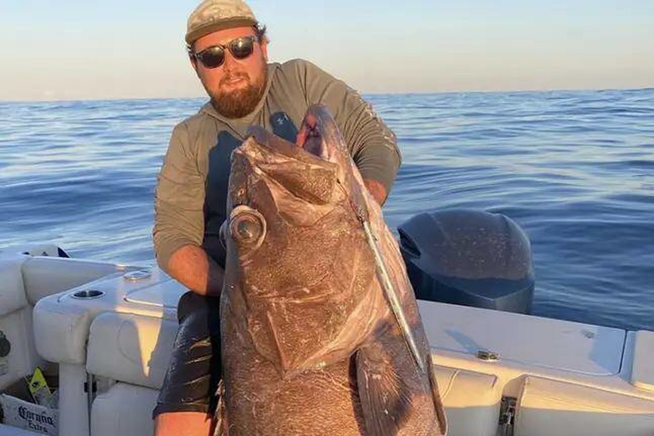 Рыбак поймал гигантского 80-килограммового монстра и выложил трофей в сеть. Но не всем пользователям понравился улов