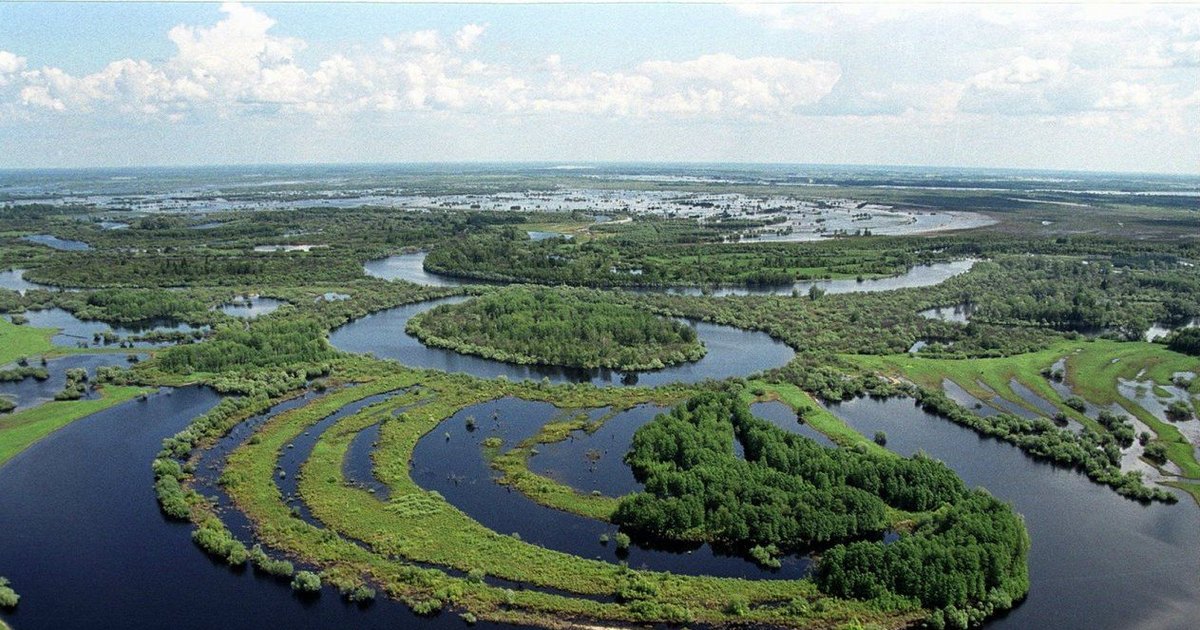 Что скрывается в Томской области: древние сокровища Васюганского болота