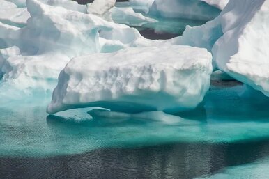 Уникальное одновременное повышение температуры в Антарктиде и Арктике. Главные новости науки сегодня