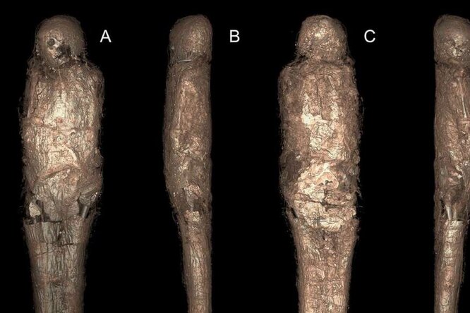 Зачем египтяне делали грязевые коконы для мумий: археологи нашли ответ