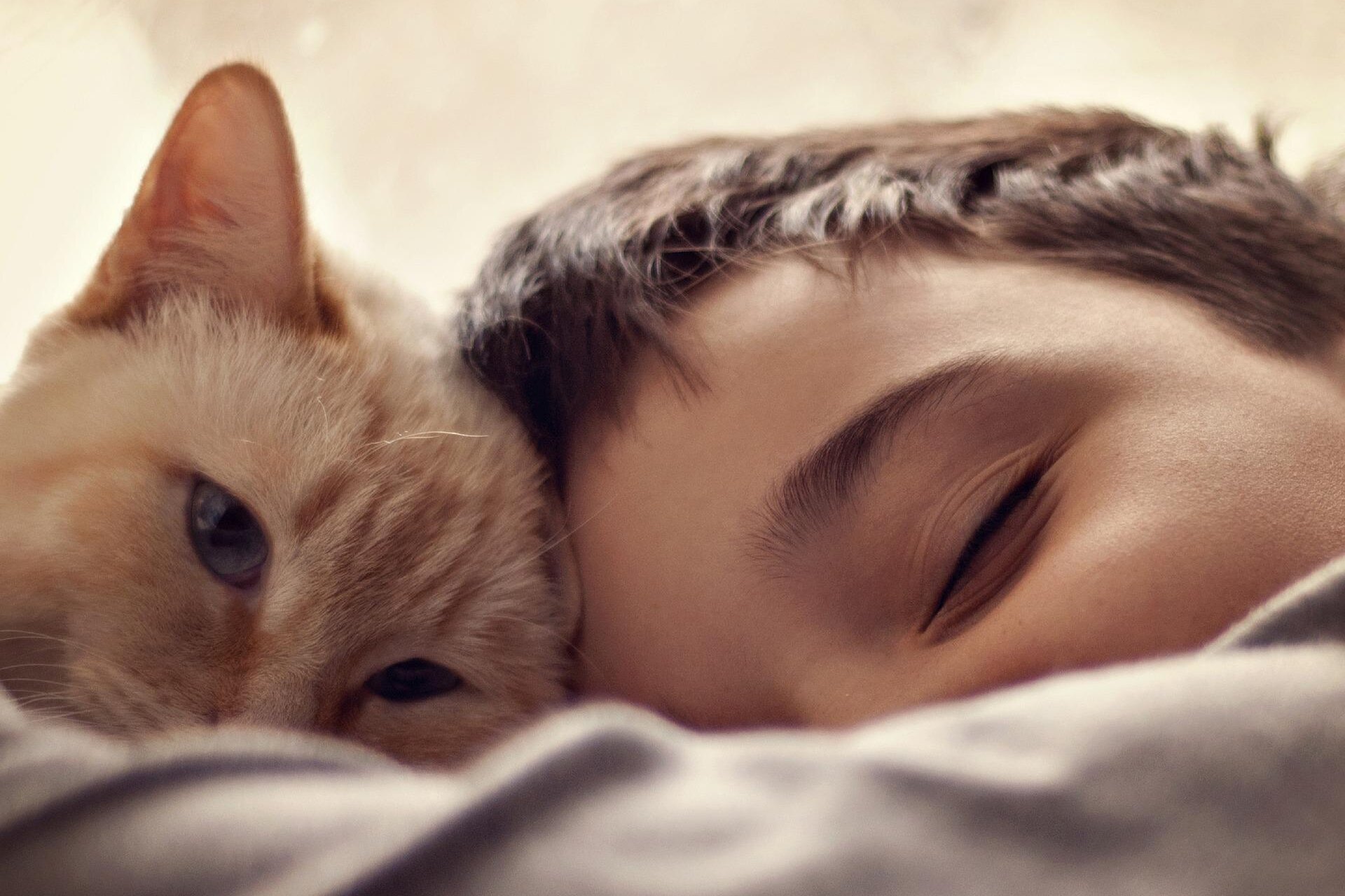 Мужчины, у которых в детстве дома были кошки, подвержены развитию психозов во взрослом возрасте: результаты исследования