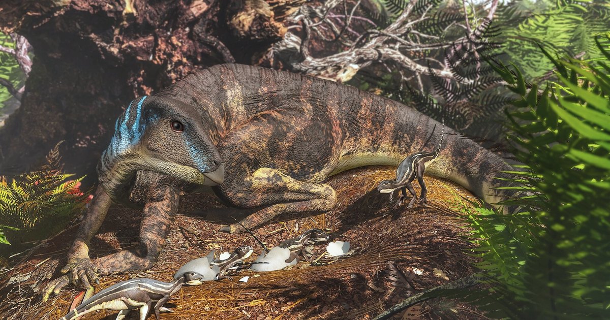 Как ученые обнаружили уникальные окаменелости детенышей динозавров из Австралии