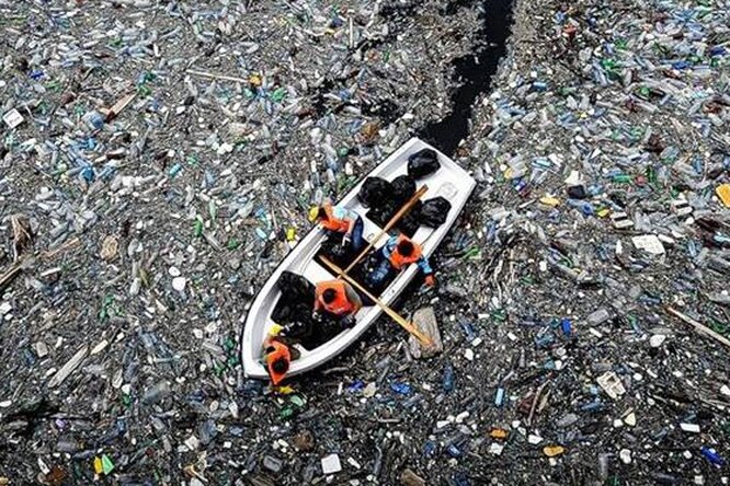 Большое тихоокеанское мусорное пятно на самом деле: плавучий континент из отходов