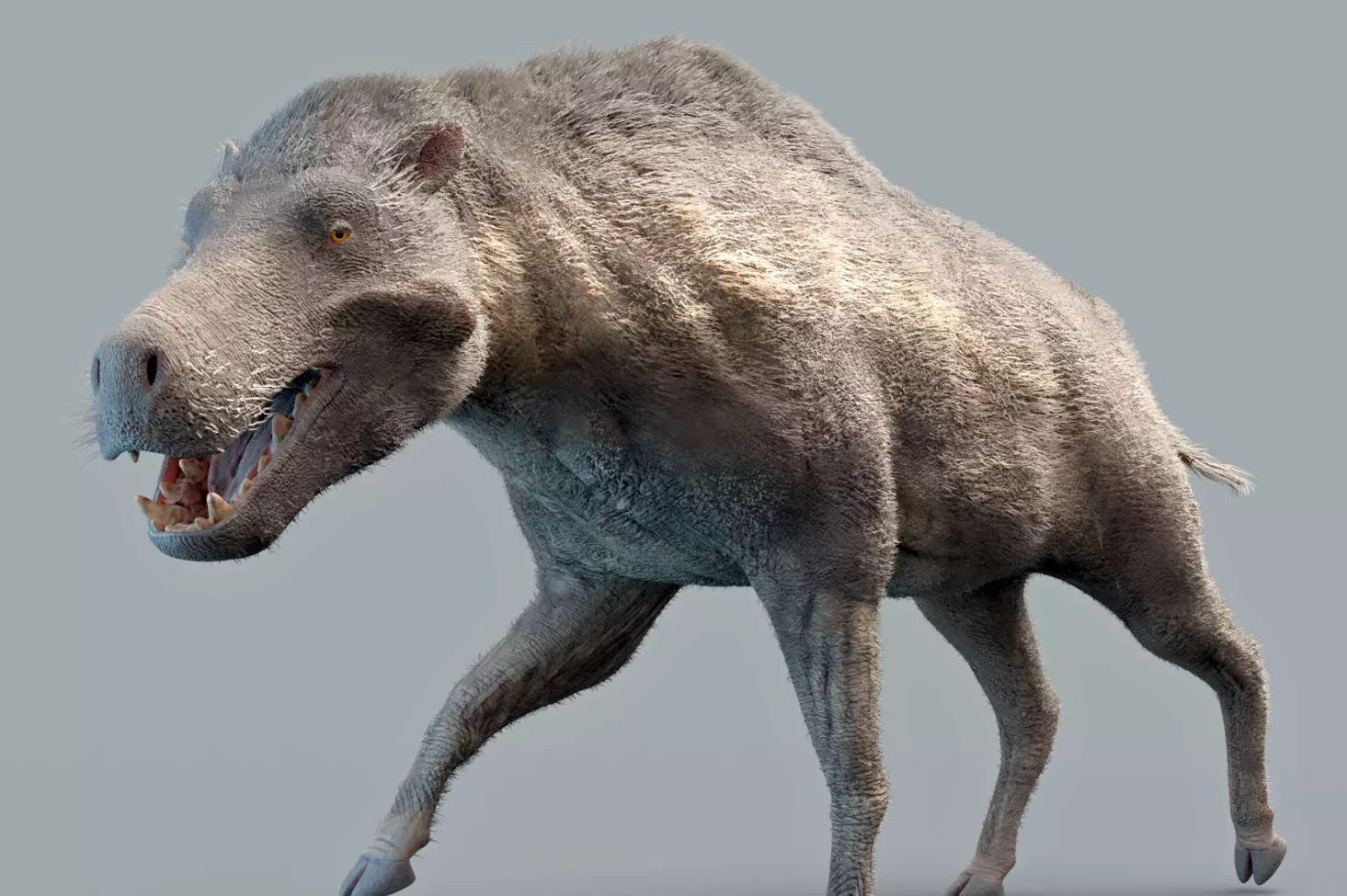 Ученые: свиньи-терминаторы с огромными челюстями на самом деле не были хищниками