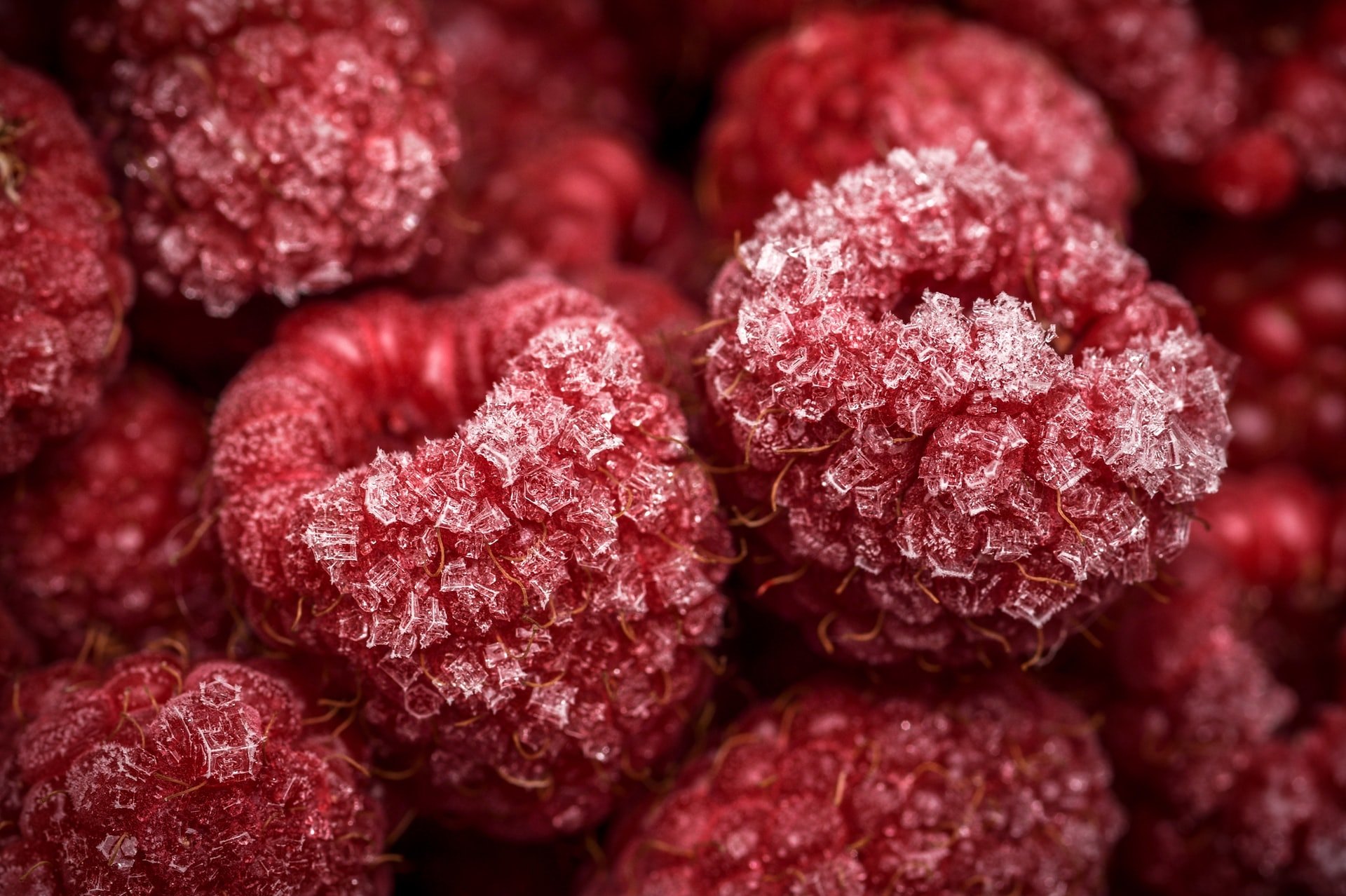 Как заморозить ягоды на зиму, чтобы они сохранили свои свойства
