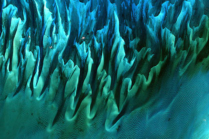 Фото узоров песка и водорослей получило номинацию лучшего кадра NASA Фото узоров песка и водорослей получило номинацию лучшего кадра NASA