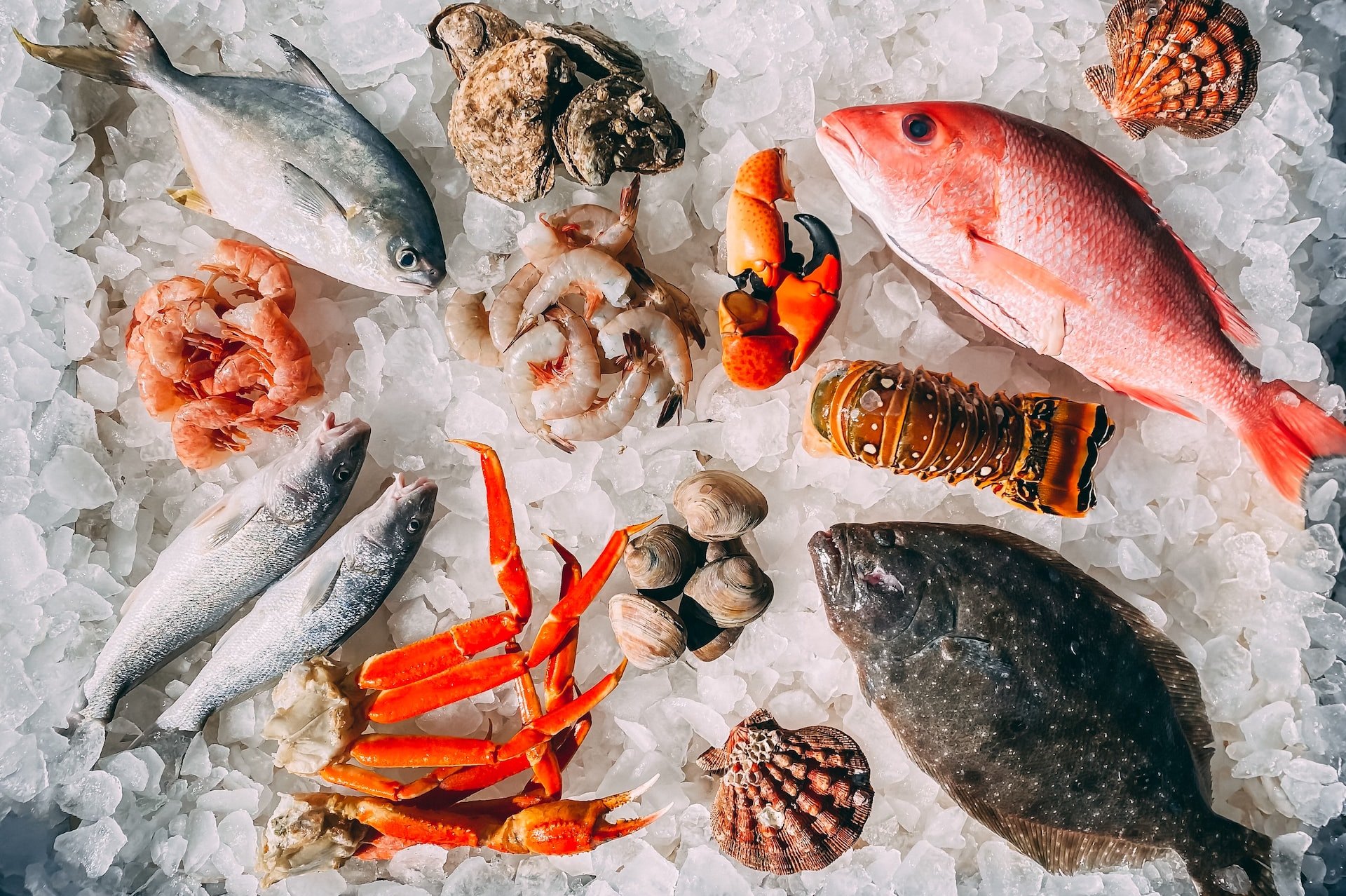 Переход с мяса на рыбу может спасти человека от болезней и глобального потепления