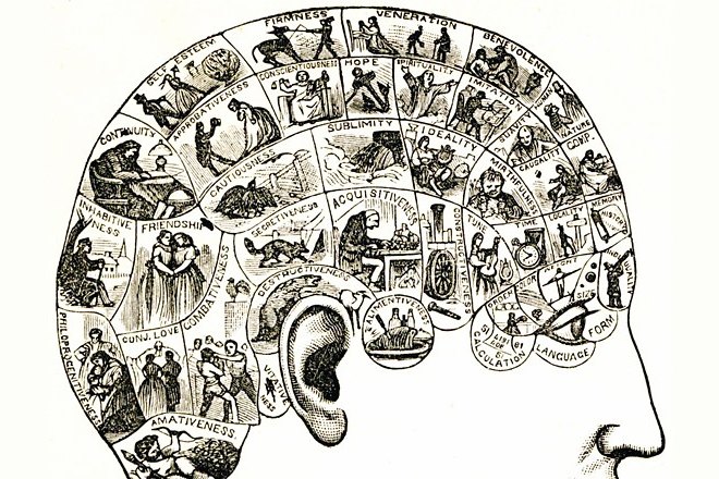 Тренировка для мозга: как улучшить память за полтора месяца