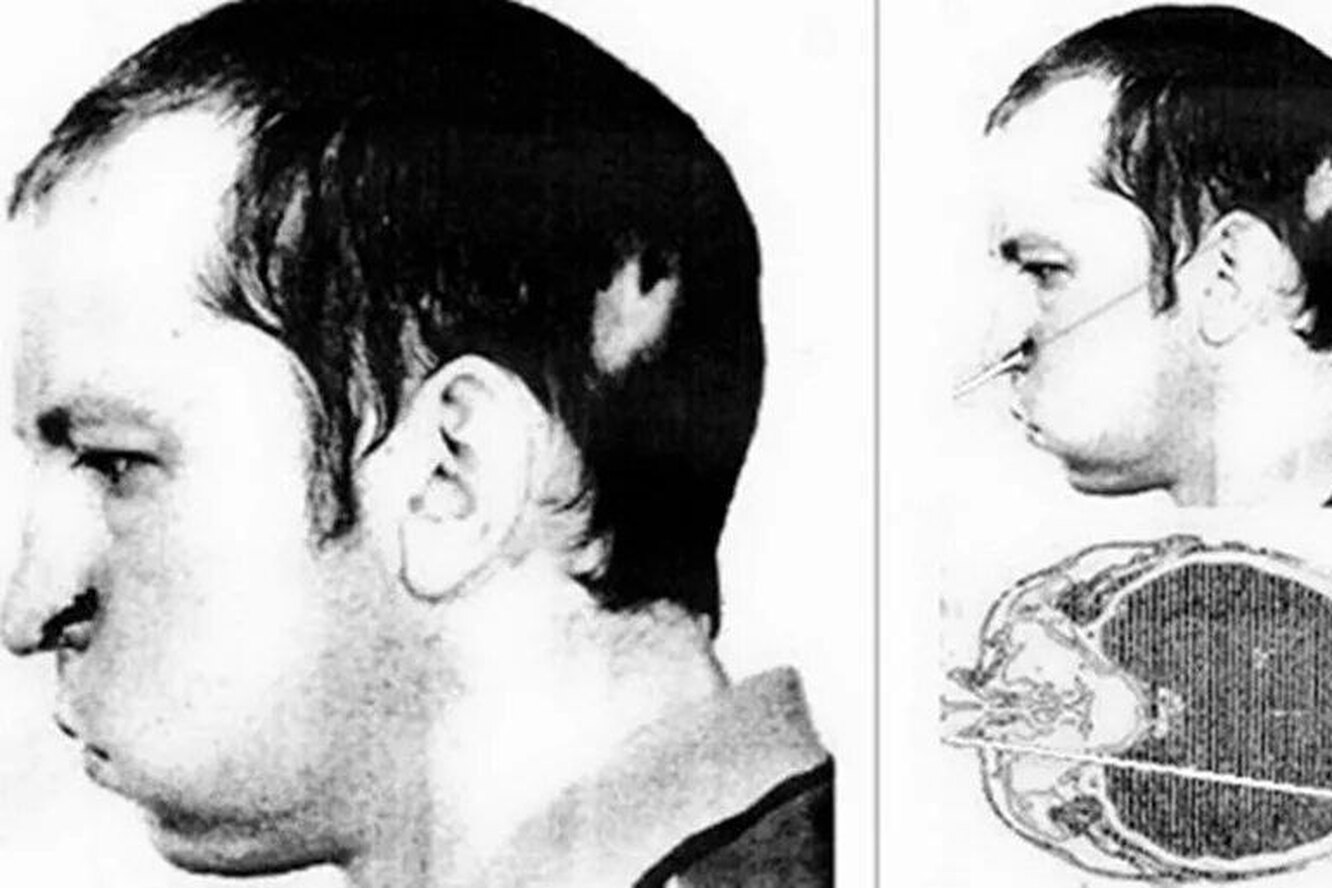 гольяновский пруд реконструкция 2021.