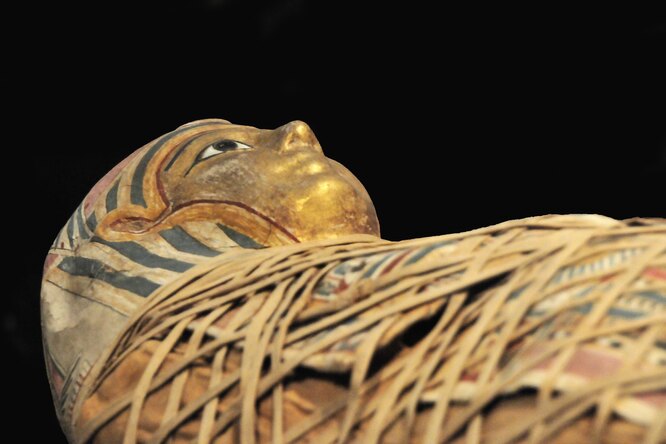 Откуда пошло слово «мумия»?