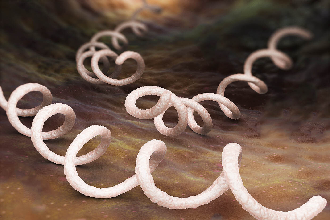 Vibrio cholerae и другие самые опасные для человеческого организма бактерии