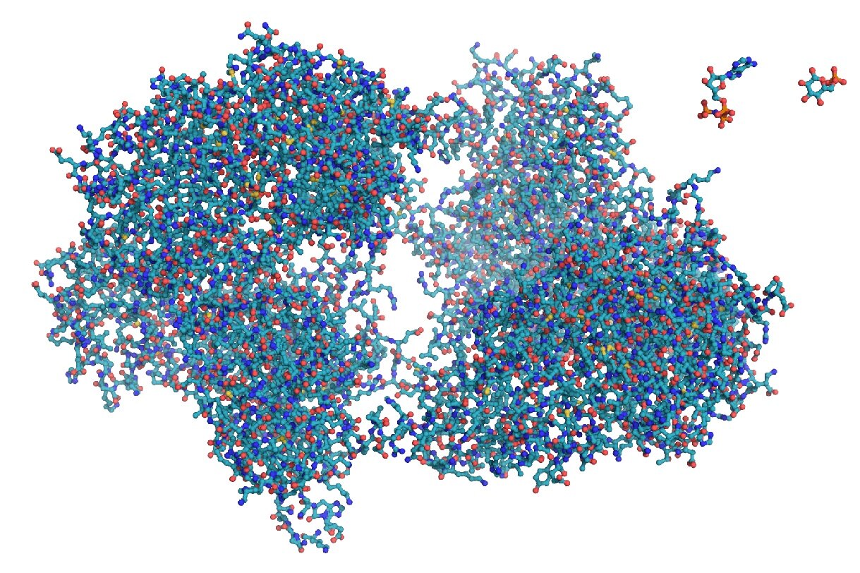 Вселенная белков. Создается база данных 3D-структур 200 миллионов белков почти всех живых организмов