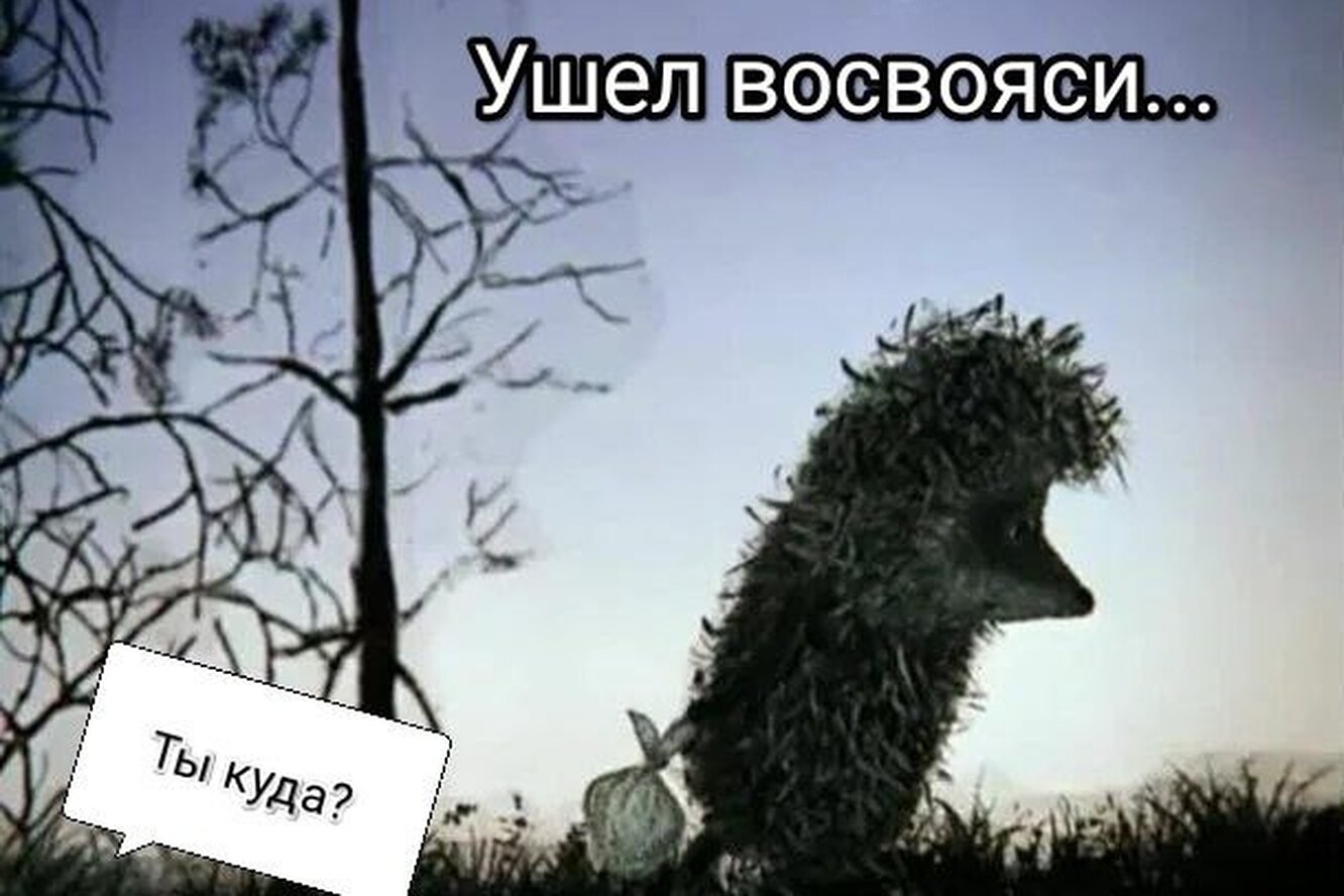 Восвояси что это. Восвояси что это