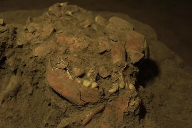 В Индонезии найдены останки женщины, принадлежащей к ранее неизвестному человеческому роду