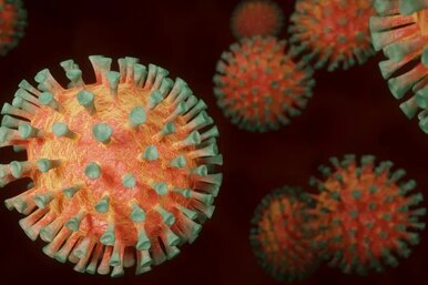 Вспышка нового варианта коронавируса BA.2 Omicron SARS-CoV-2. Главные новости науки сегодня