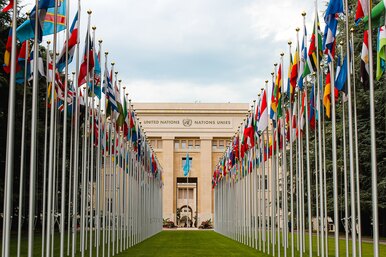ООН заявила о важной экологической победе