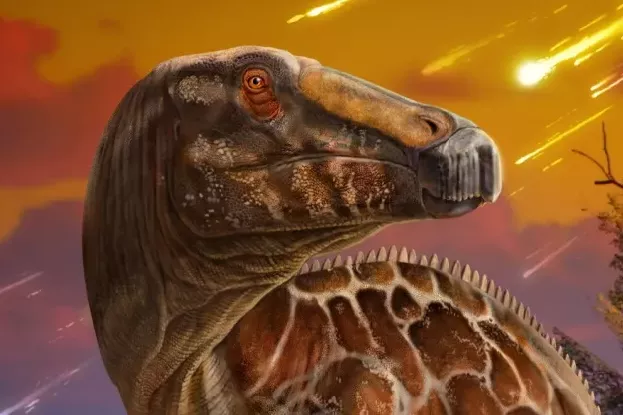 Динозавры уже были на грани вымирания к тому моменту, когда на Землю обрушился метеорит