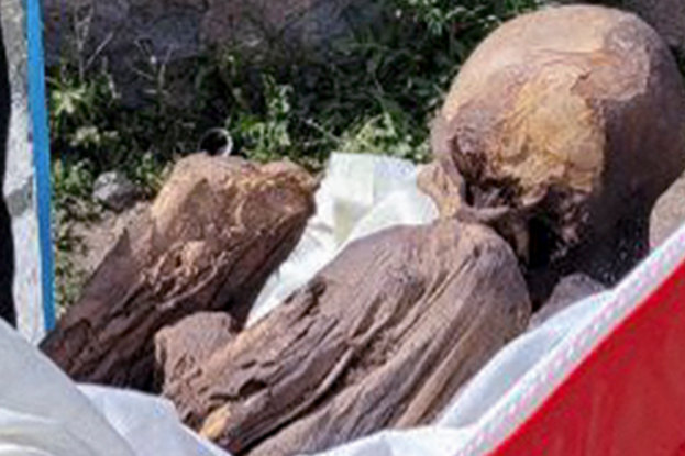 В сумке-холодильника бывшего курьера нашли 600-летнюю мумию. Она хранилась в его доме 30 лет
