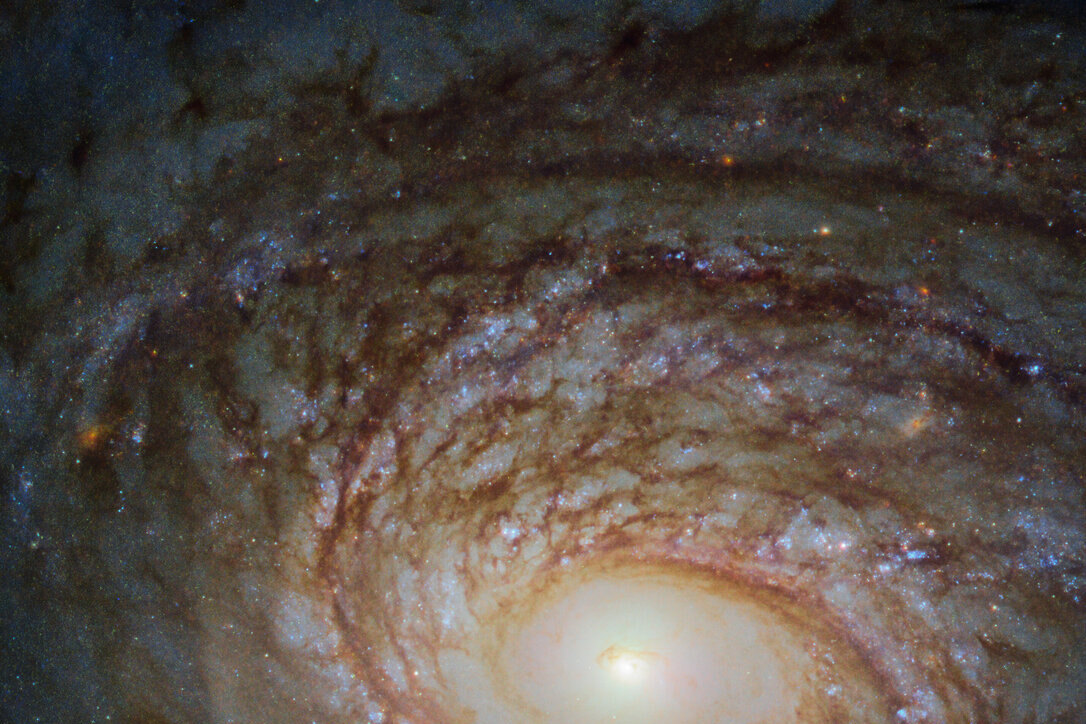 Спиральная галактика NGC 772: рассказываем о том, как астрономы обнаружили брата-близнеца Млечного Пути