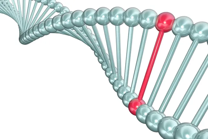 Мутации ДНК оказались неслучайны: рассказываем, почему это важно для всего человечества
