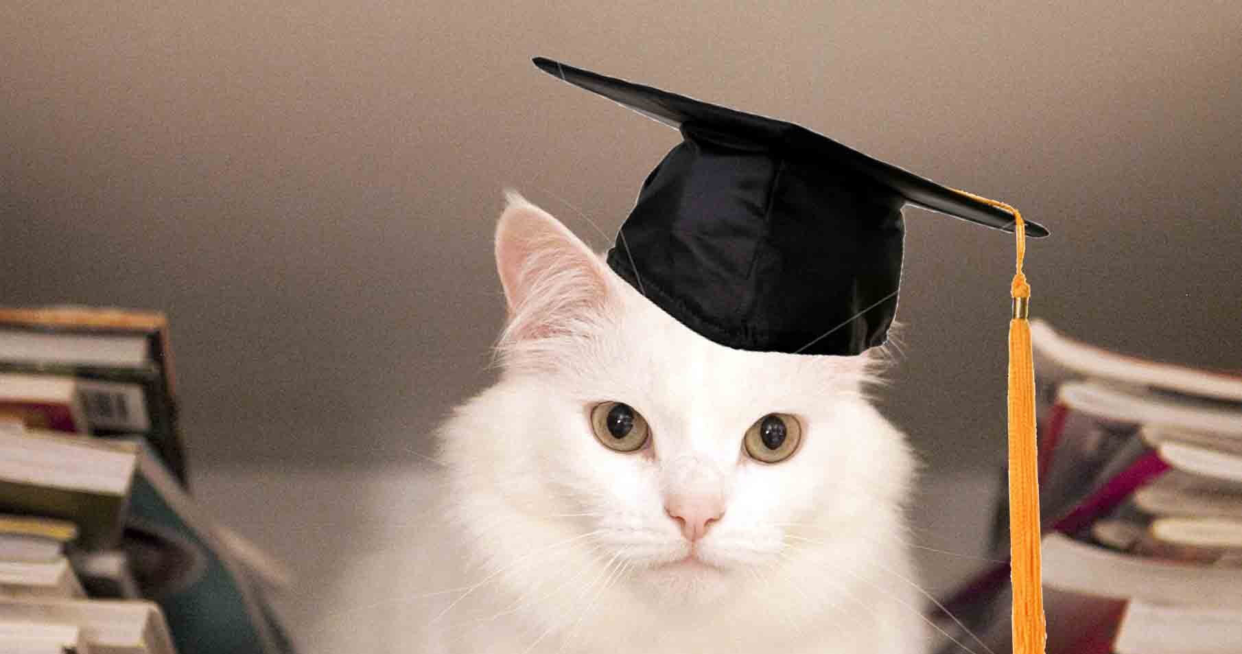 Не только социальные факторы! Рассказываем, могут ли гены отвечать за выбор специальности